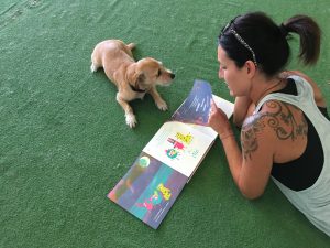 entrenamiento perros de terapia